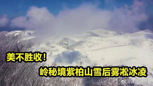 在宿舍有哪些煮面条可以用的省钱神仙调料推荐？